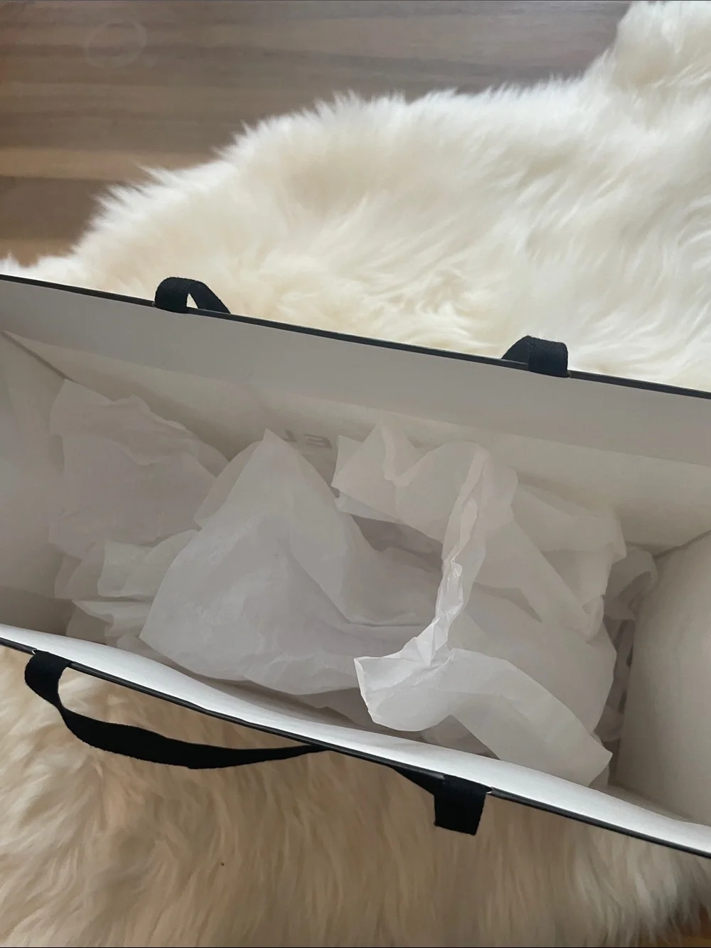 CHANEL White and Black Logo Gift Bag